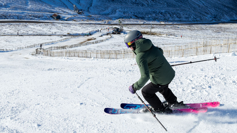 Lecht 2090 - The Buzzard